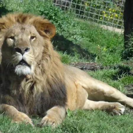 Appartamento Playa Sin Aglomeraciones, Tarifas Especiales Cerca De Puerto Banus *