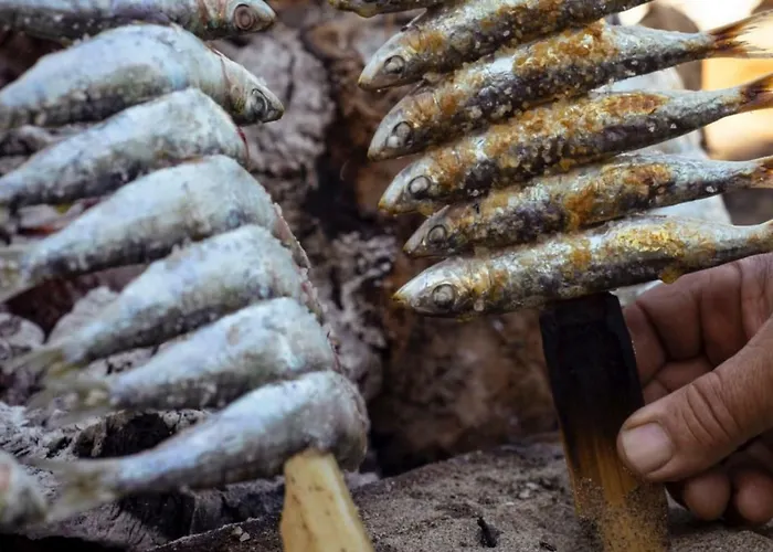 Playa Sin Aglomeraciones, Tarifas Especiales Cerca De Puerto Banus
