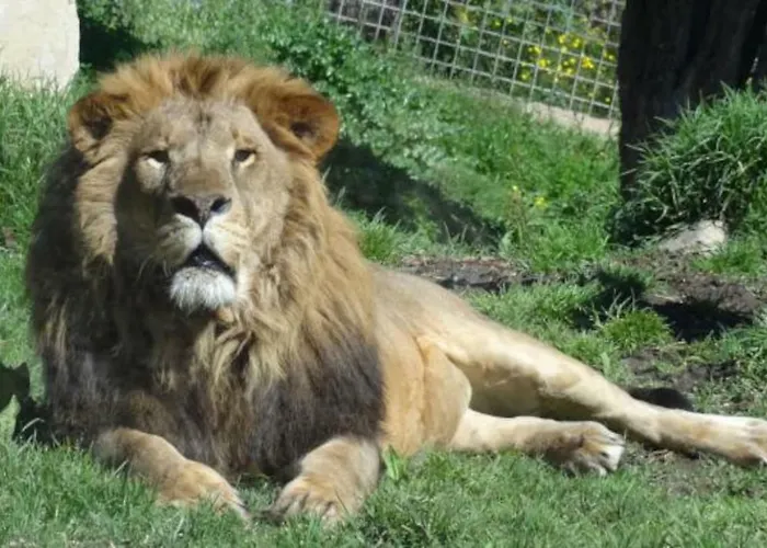 アパート Playa Sin Aglomeraciones, Tarifas Especiales Cerca De Puerto Banus *