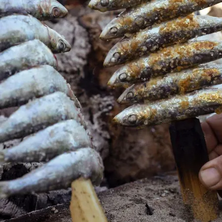 Playa Sin Aglomeraciones, Tarifas Especiales Cerca De Puerto Banus